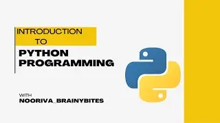 Introduction to Python: Easy Setup and Basics Explained