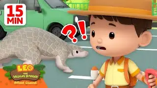 Rescue the Pangolin on the Road! 🛣️ | Animal Mission 🦁 | Leo the Wildlife Ranger | Kids Cartoon