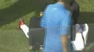 Hernan Crespo Injury