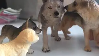 The Story Of A Pack (Schleich dog movie) pt. 7