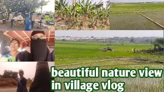 Beautiful Nature View in Village Vlog #shanoor12348 