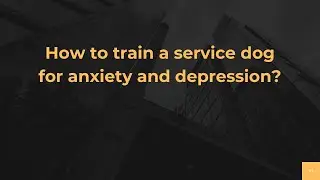 How to train a service dog for anxiety and depression?
