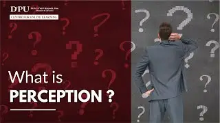 What is Perception? | MBA - Organizational Behavior