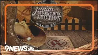 National Western Stock Show Junior Livestock Auction 2026