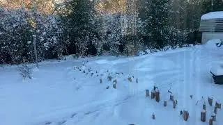 IS THIS REAL SNOW IN FLORIDA?