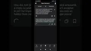 Как звучит тематическая песня Кошки Джинджер на румынском в Яндекс Переводчике 🐱✨