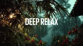 Mellow Rain Guitar | Acoustic Sleep Music for Deep Relaxation & Focus