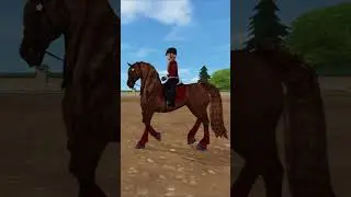 SSO - 3 Generations of Andalusians #sso #starstableonline #starstable