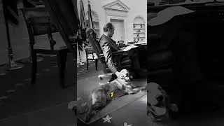 The most incredible historical photos, part 38! #history #historicalphotos #historyfacts