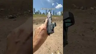 Shadow Systems DR920P with a Swampfox Justice II