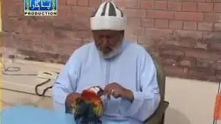 Peer Sain Pagara ! Sindhi Behtreen Molood ! Dargah Sharif Pir Jo Goth ! By Hur Murtaza Baloch