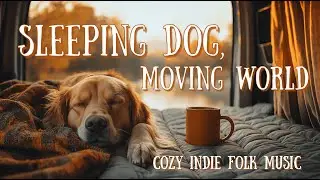 Cozy Indie Folk Vanlife 🐶 | Sleeping Dog, Moving World (Study, Relax, Sleep)