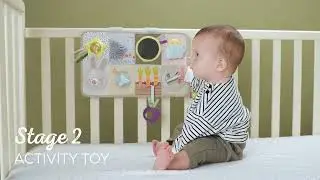 Taf Toys Developmental Activity Center
