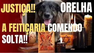 VÃO PAGAR NO INFERNO!!!