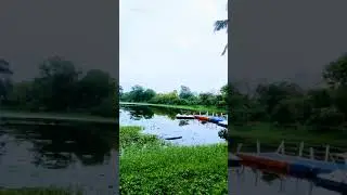 Exploring the Serenity: Central Park, Salt Lake, Kolkata 🌳