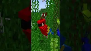 Оцелот против попугая [Голосуйте за лучшего!] #minecraftmobvote #minecraftmobs #minecraftwiki
