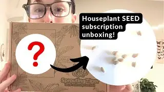 🌱😲 Распаковка коробки с подпиской на семена комнатных растений!