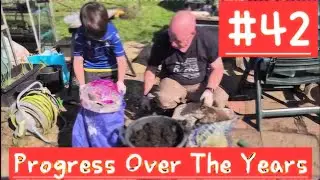 #42 Allotment - Progress Over The Years