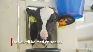 CowManager Overv&aring;gning af opdr&aelig;t