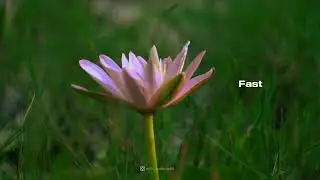 @Sony camera testing with sony alpha ilce 6100 (budget friendly camera)