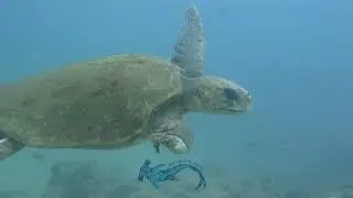 Ponta Malongane December 2022 highlights