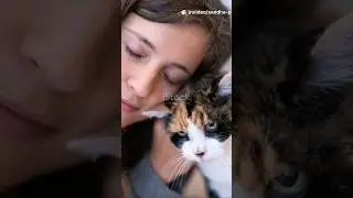 Действительно ли кошки предпочитают тихих людей шумным?