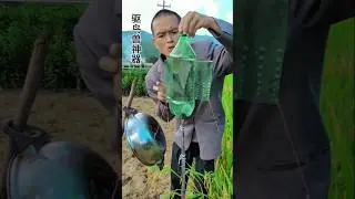 How Chinese Farmers Protect Rice Fields from Birds | Smart Farming Tricks #shorts #fyp #foryou