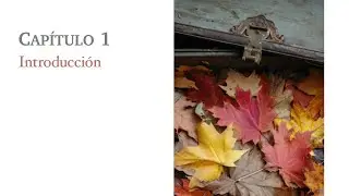 El Plan de tu Alma. Robert Schwartz. Capítulo 1. (audiolibro)