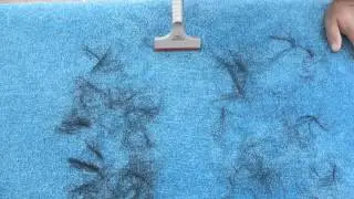 Magischer-Reiniger ( Tierhaar-Entferner) Polsterd&uuml;se