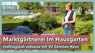 Marktg&auml;rtnerei im Hausgarten - Halbtagsjob mit 30 Gem&uuml;se-Abos | Britta's Gem&uuml;sekiste | 2024 | Teil 2