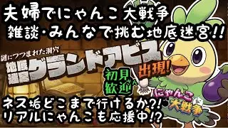 グランドアビス3日目【初見さんも大歓迎】 夫婦実況+リアルにゃんこでまったりにゃんこ大戦争・雑談🐾ライブ配信#57 #にゃんこ大戦争 #縦型配信 #ライブ配信 #shorts #shorts #初見