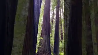 atmospheric nature