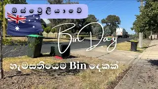 Bin day එක | 🇦🇺 Australia Garbage System 🇦🇺| How Australia Collects Garbage