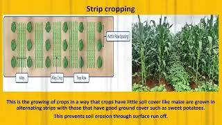 soil conservation for grade 8 CBC agriculture and nutrition