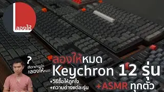 ASMR เสียงคีย์บอร์ด Keychron (เกือบ)ทุกรุ่น แต่ละรุ่นต่างกันยังไง? ต้องรู้อะไรก่อนซื้อ? | ลองให้
