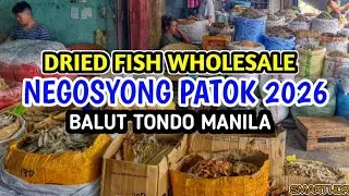 Bagsakan 2026 Dried fish wholesaler(balut tondo)#amazingsea #kuyaedph