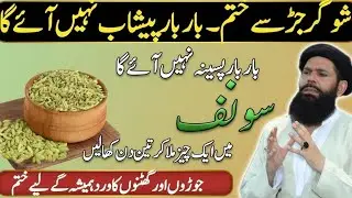 Rumi Quotes Urdu Hikmat Ki BatainMotivational Quotes About Life | Golden Words Ubqari Totka