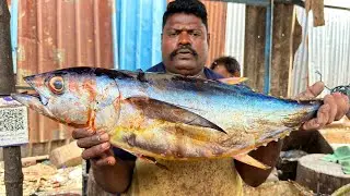 KASIMEDU SELVAM TUNA FISH CUTTING | UK SONS MARINE 🇮🇳