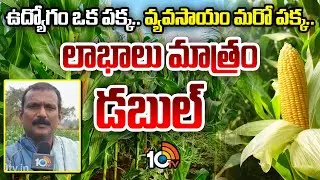 Double Profits | Job and Farming | ఉద్యోగం ఒక పక్క.వ్యవసాయం మరో పక్క..లాభాలు మాత్రం డబుల్ | 10TV