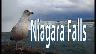 Niagara Falls / Swimming Against the Stream - Music by Bernd Klein