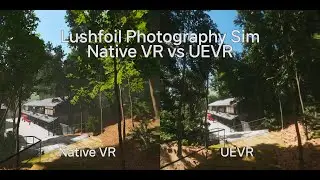 Lushfoil Photography Sim - Native VR vs UEVR