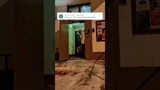 Очередной ролик с потрясающей информацией #russiangreyhound #dog