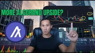 Essential Tools Every Crypto Trader Needs Now & Latest Algorand ALGO Price Predictions