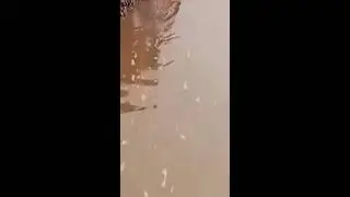 Survival skills Primive Life Dig Mud Pit To Catch Catfish - Skills Catching Catfish #diy #survival