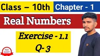 Lcm & HCF of numbers | Exercise 1.1 Question 3 solution in Hindi class 10 Ncert math| real number 