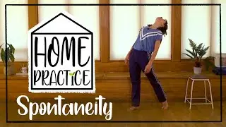 Spontaneity - Home Practice (Online Contemporary Dance Class with Stopgap Dance Company)
