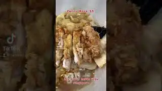 SG Foodie : Chicken Chopped Curry Rice