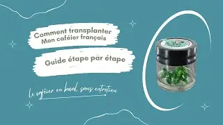 Tuto Rempoter Mon caf&eacute;ier Fran&ccedil;ais 