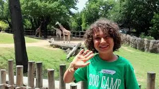 2021 Summer Zoo Camp at the Fort Worth Zoo