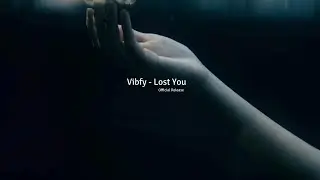 Vibfy - Lost You